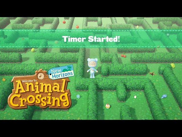 Building A +20 Hour Maze | Animal Crossing New Horizons