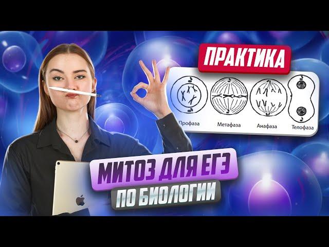 Митоз для ЕГЭ по Биологии + практика