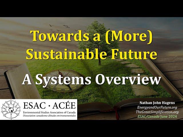 A Systems Approach Towards a (More) Sustainable Future: An Invitation to Academia