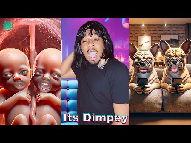 Its Dimpey Funny TikTok Video Compilations | New Dimpey TikTok Videos 2024