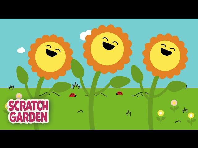 The Parts of a Plant Song | Science Songs | Scratch Garden