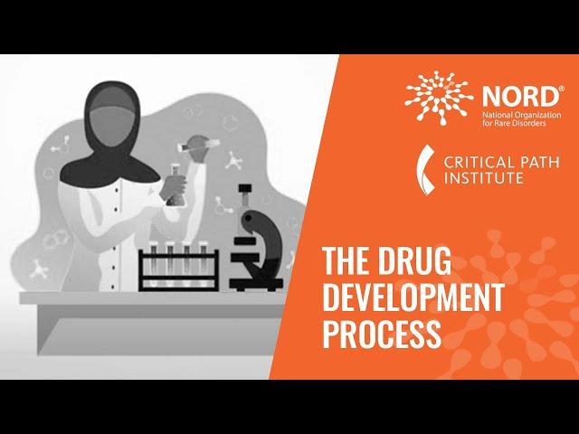 The Drug Development Process