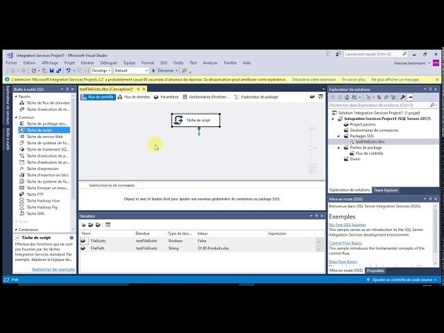 SSIS Task how to check file exists with C#