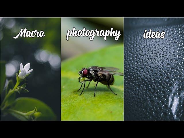 Macro photography ideas | Mobile photography