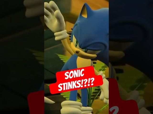 Sonic Has a TERRIBLE Smell!? 