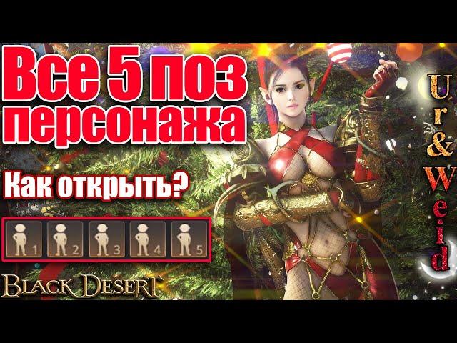 Все 5 поз персонажа в Black Desert: как открыть - требования + прохождение квестов