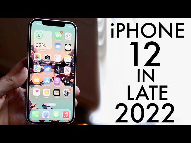 iPhone 12 In LATE 2022! (Review)