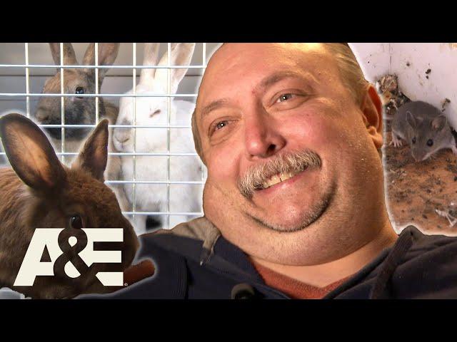 Hoarders: 30 Bunnies Run WILD in Rented Home | A&E