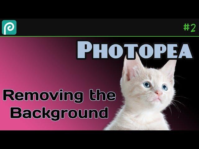 Removing the Background from an Image with Photopea