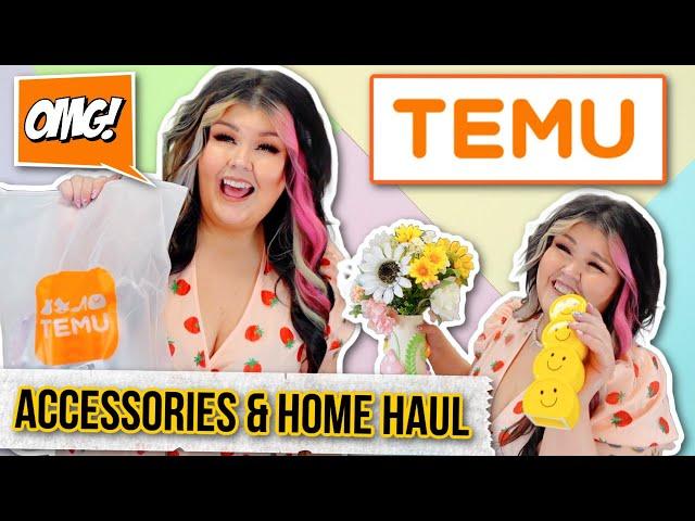 TEMU Accessories & Home Haul