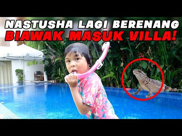 BIAWAK MASUK VILLA PAS NASTUSHA LAGI BERENANG!! SEMUA PANIK!!