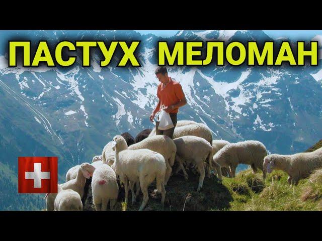 Жизнь Пастуха | как выжить в отпуске| стоимость домика