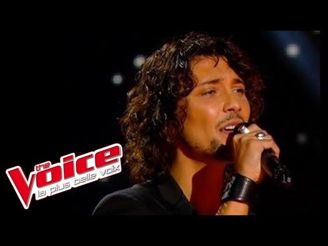 Kate Bush – Wuthering Heights | Fabien Incardona | The Voice France 2014 | Blind Audition