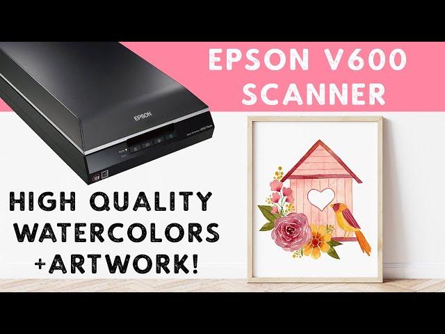 How to Scan Watercolor Illustrations and Artwork - Epson V600 Scanner