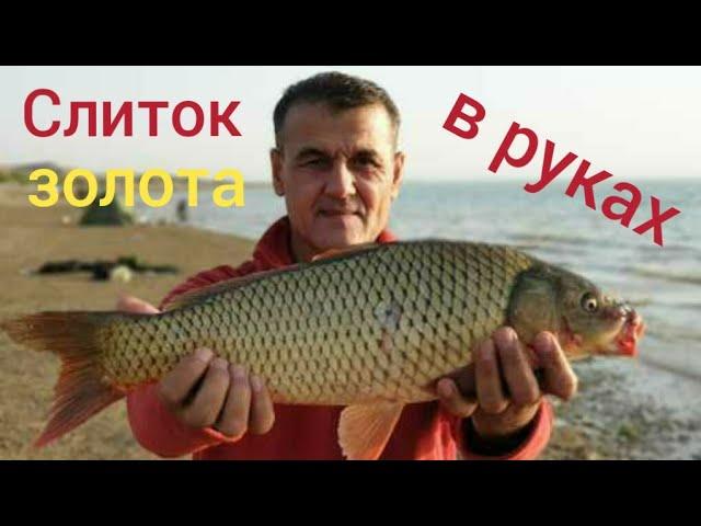 Рыбалка на озере Тудакуль , ловим сазана . ( Сarp fishing on Tudakul lake ).