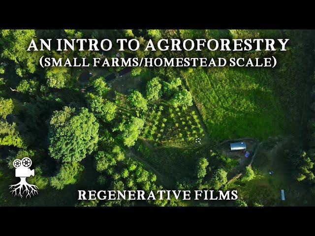 The Incredible Benefits of Agroforestry on Small Farms | Introduction to Agroforestry