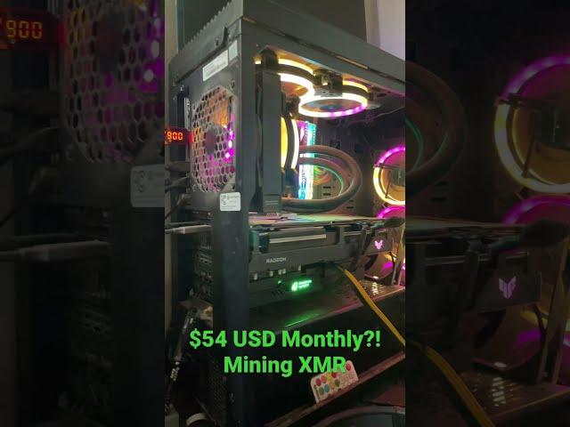 $54 US Dollars Daily Mining Monero! AMD XMR Passive Income $1675 Monthly! Profitability Rising!