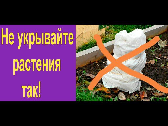 Как лучше укрыть растения на зиму