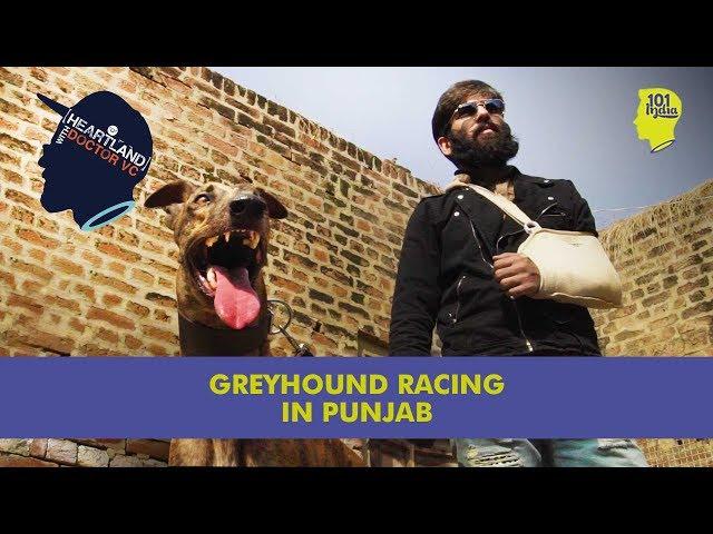 Greyhound Racing In Punjab | 101 Heartland With Doctor VC | Unique Stories From India