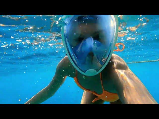 Red Sea snorkeling in Sharm El Sheikh: Egypt 2022