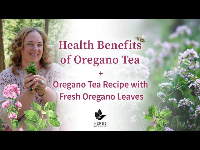 Health Benefits of Oregano Tea + Oregano Tea Recipe with Fresh Oregano Leaves