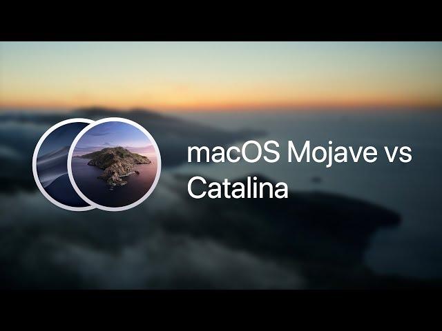 macOS Mojave vs Catalina