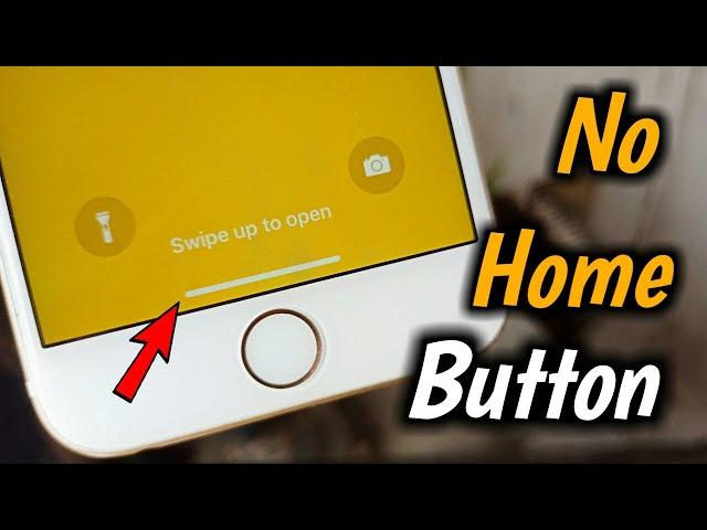 No Home Button