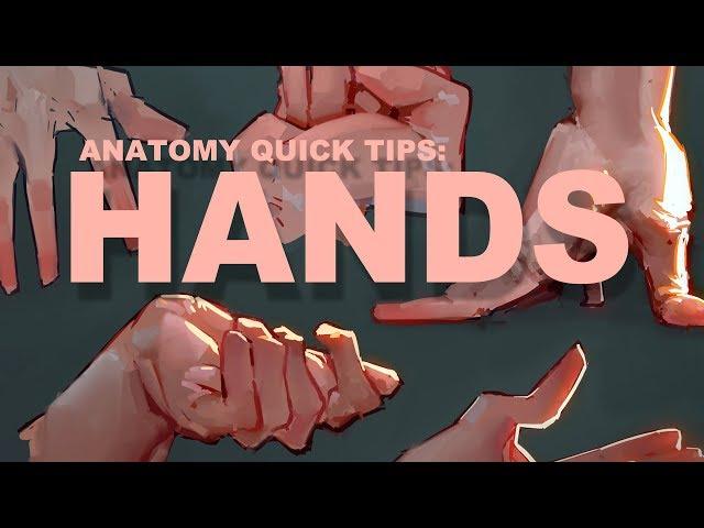 Anatomy Quick Tips: Hands