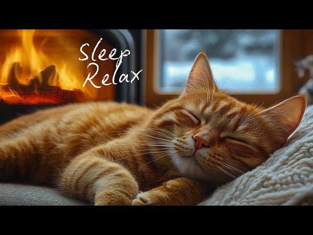 Calming music for Cats  Cozy Christmas Ambience no ads | Cat music for anxiety | Piano cat music