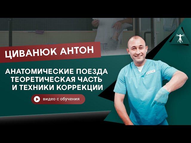 Анатомические поезда. Теоретическая часть и техники коррекции. Циванюк Антон Владимирович