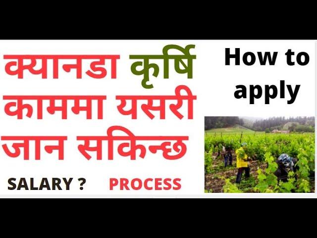 How to Go Agricultural  Work visa In Canada for Nepal |  Canada Farm working visa For Nepali