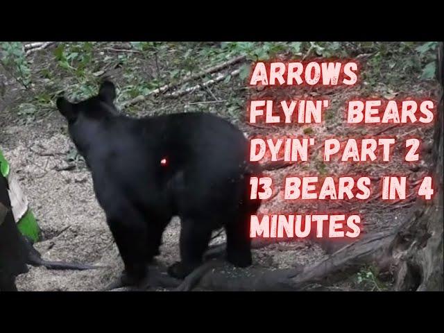 Bear Hunting ARROW IMPACTS - 13 bears shot in less than 4 minutes