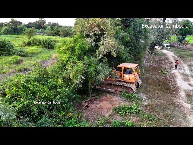 Amazing Heavy Old Heavy Bulldozer Working Breakdown Tree Making New Road With Small Dozer And Truck