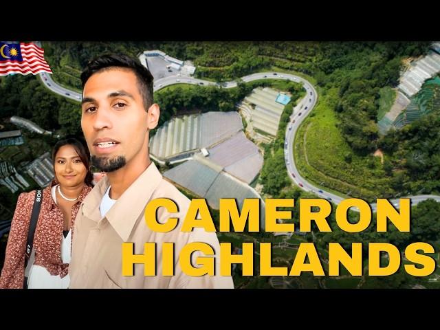 Is CAMERON HIGHLANDS  BOH Tea Plantation Worth Visiting?