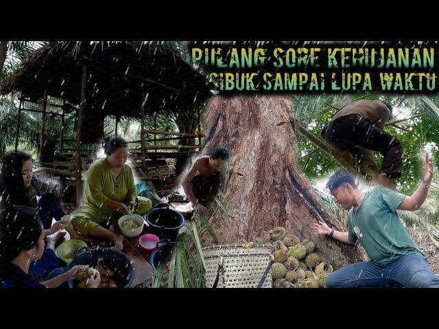 seharian bekerja sampai kehujanan pulang dari menunggu durian warta petani muda hidup di hutan