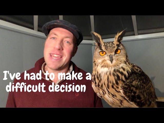 Olly the Eagle Owl has become too dangerous...I explain here