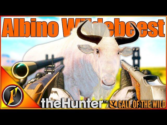 Black Powder Weapons ONLY Hunt! | ALBINO GOLD WILDEBEEST! | Call of the Wild