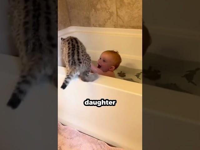 Lynx Misses Its Human Sister