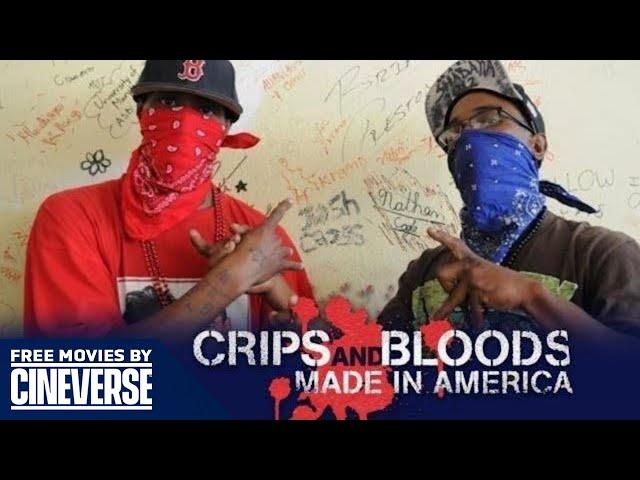 Crips And Bloods: Made In America | Full Crime Documentary | Free Movies By Cineverse