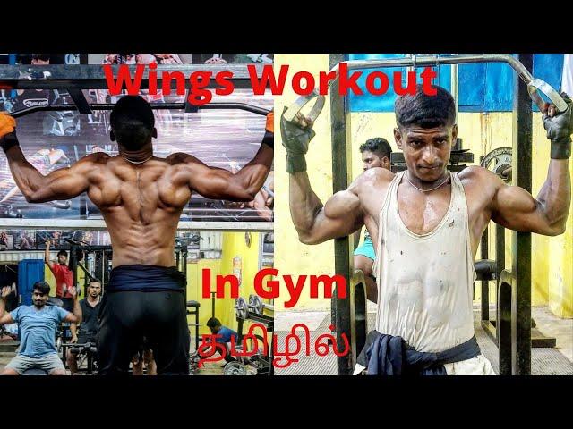 Wings Gym Workout in Tamil | Best Wings Workout | Albieavaranga