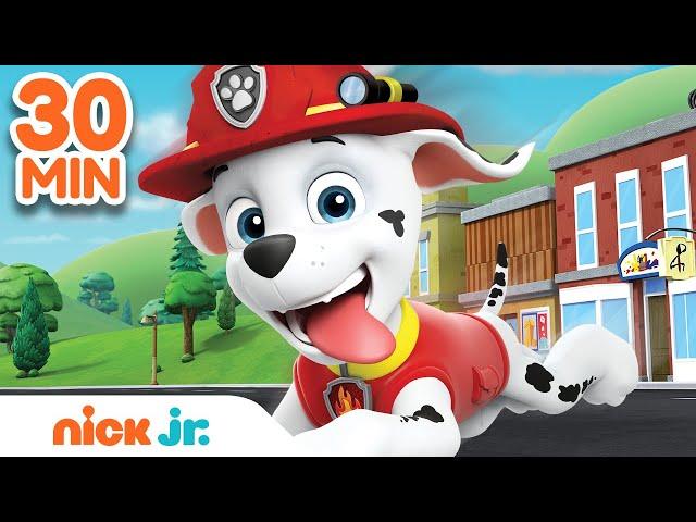 Best of Marshall  PAW Patrol! | 30 Minute Compilation | Nick Jr.