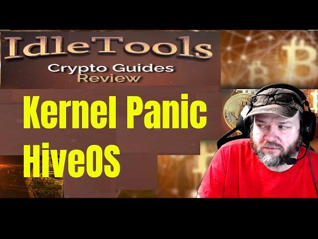 Kernel Panic HiveOS troubleshot and fixed btc s37 setup