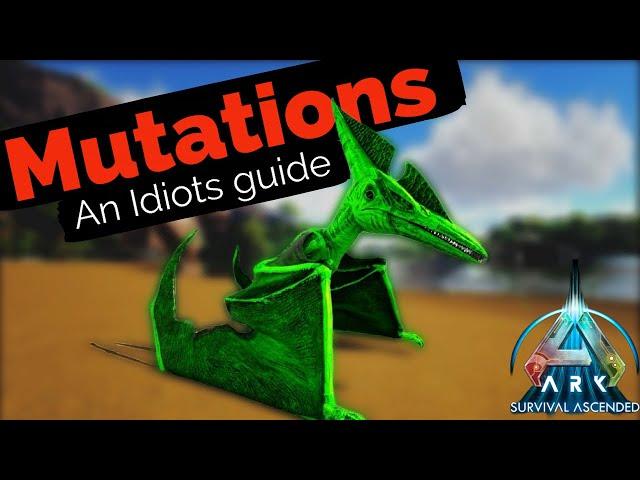 Ark Survival Ascended MUTATIONS/BREEDING Guide!