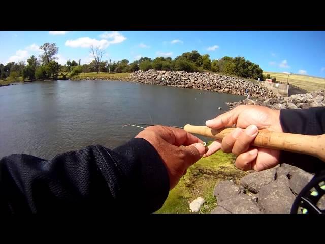 COAF Field Team Vlog #16– “A Round of Fishing at LLELA!” #flyfishing