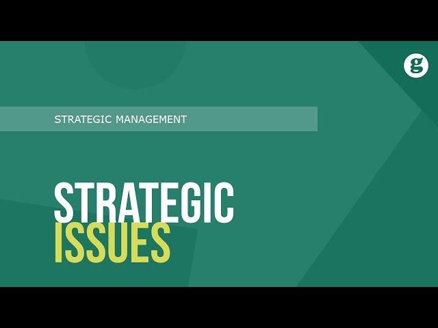 Strategic Issues