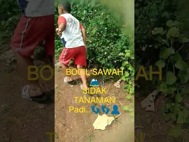 JEJAK BOCIL .   #viral #bocil #basuri #truck #bolang #shorts #jejakpetualang