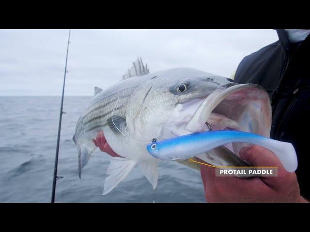 Hogy Lure Kits: Striper Casting Kit