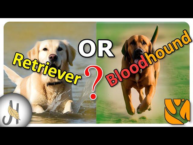 Bloodhound OR Labrador Retriever Before you Buy First DOG the Hunter Call of the Wild