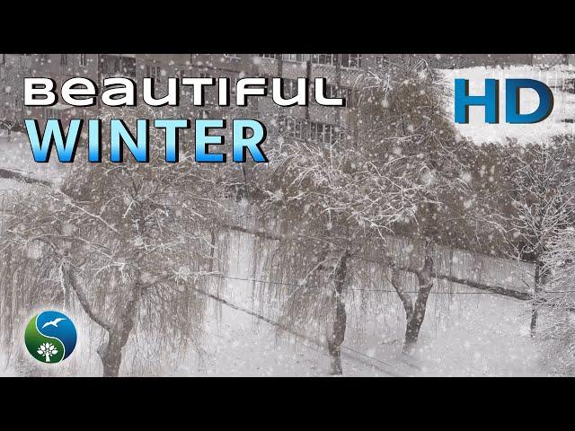 Lady Winter, BEAUTY Winter with SNOWFALL | Beautiful Video about WINTER View from the Window