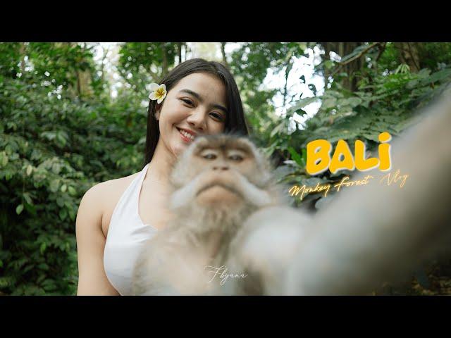 BALI VLOG | Godain monyet di Monkey Forest UBUD